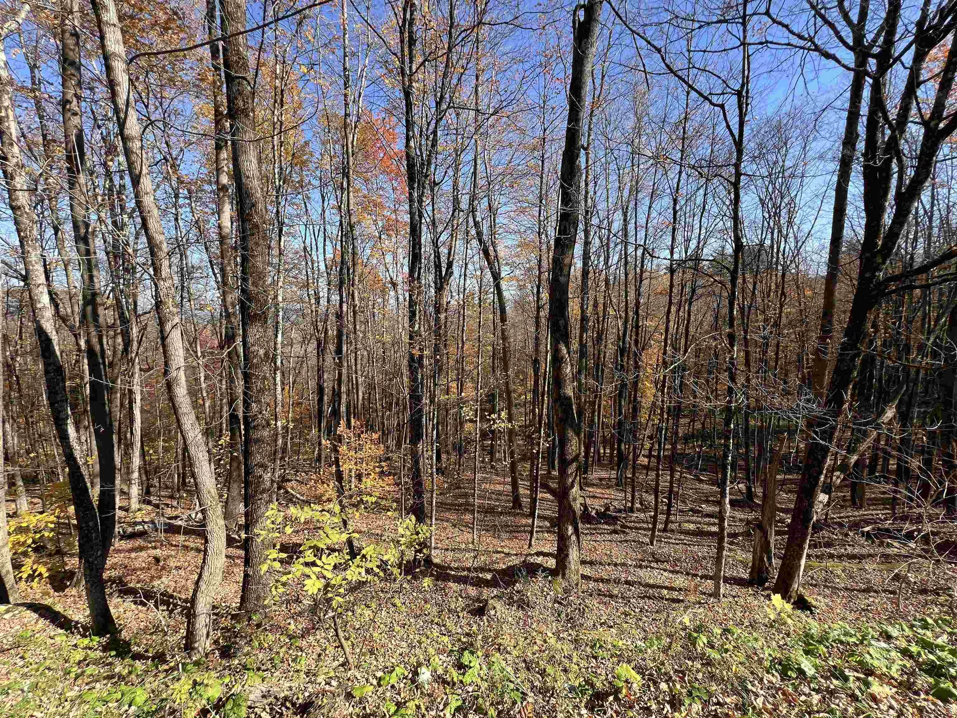 84 Lower Taylor Hill Road Winhall VT 05340