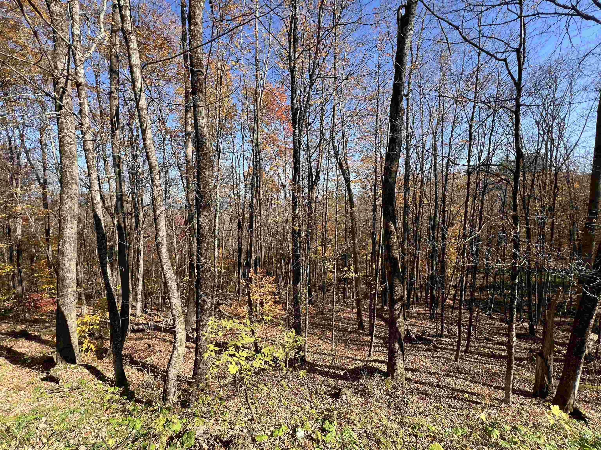 84 Lower Taylor Hill Road Winhall VT 05340