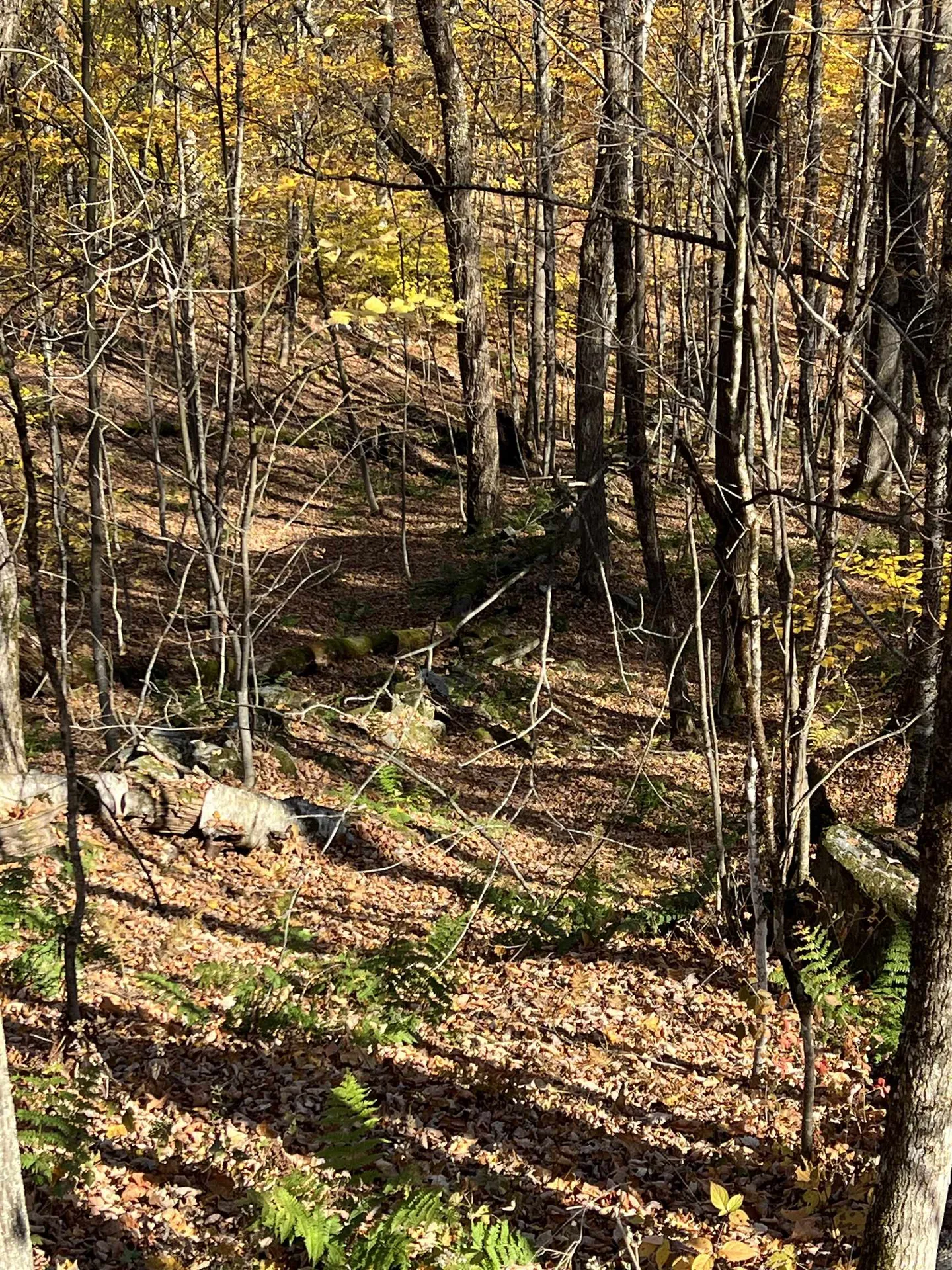 84 Lower Taylor Hill Road Winhall VT 05340