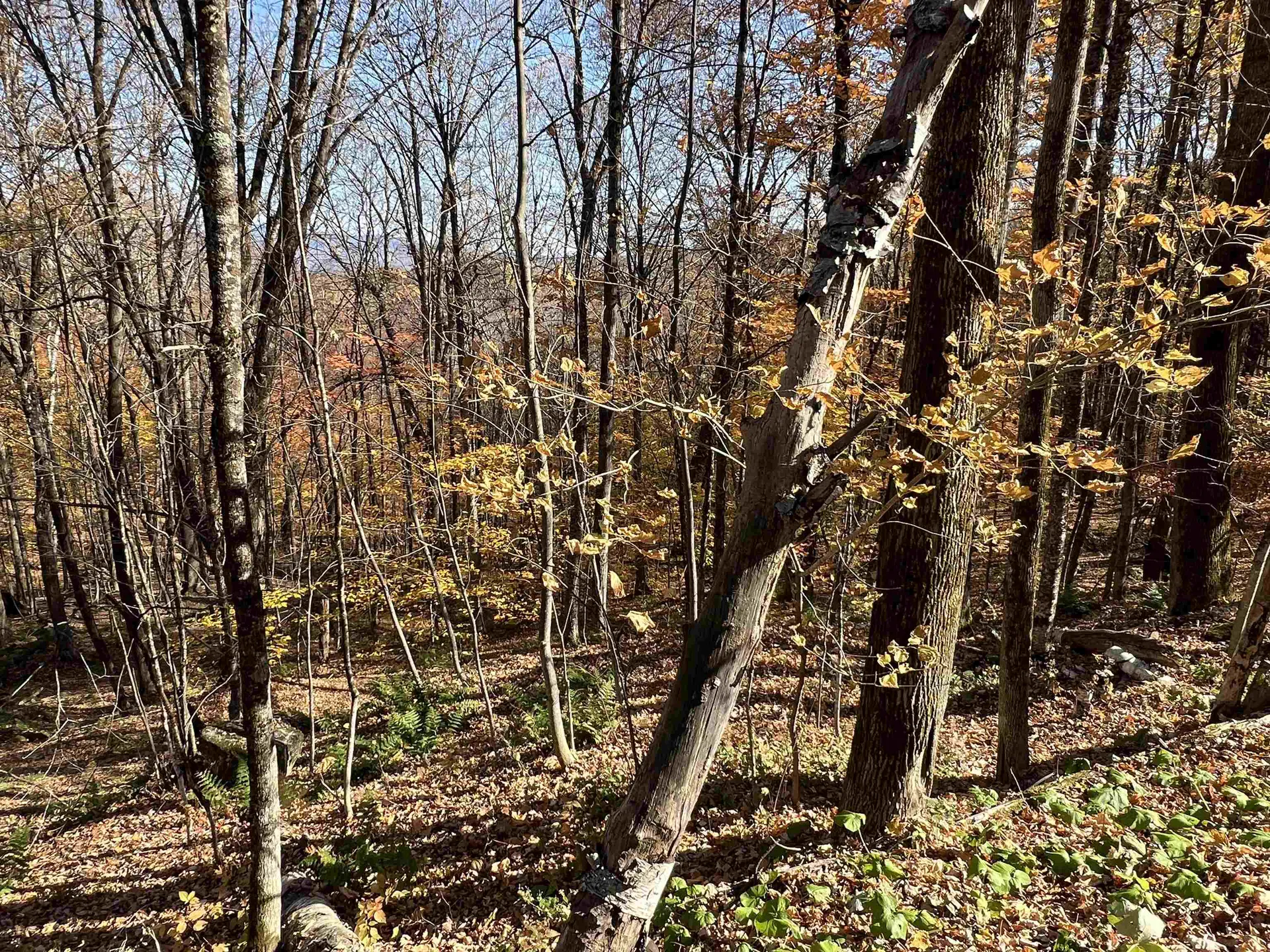 84 Lower Taylor Hill Road Winhall VT 05340