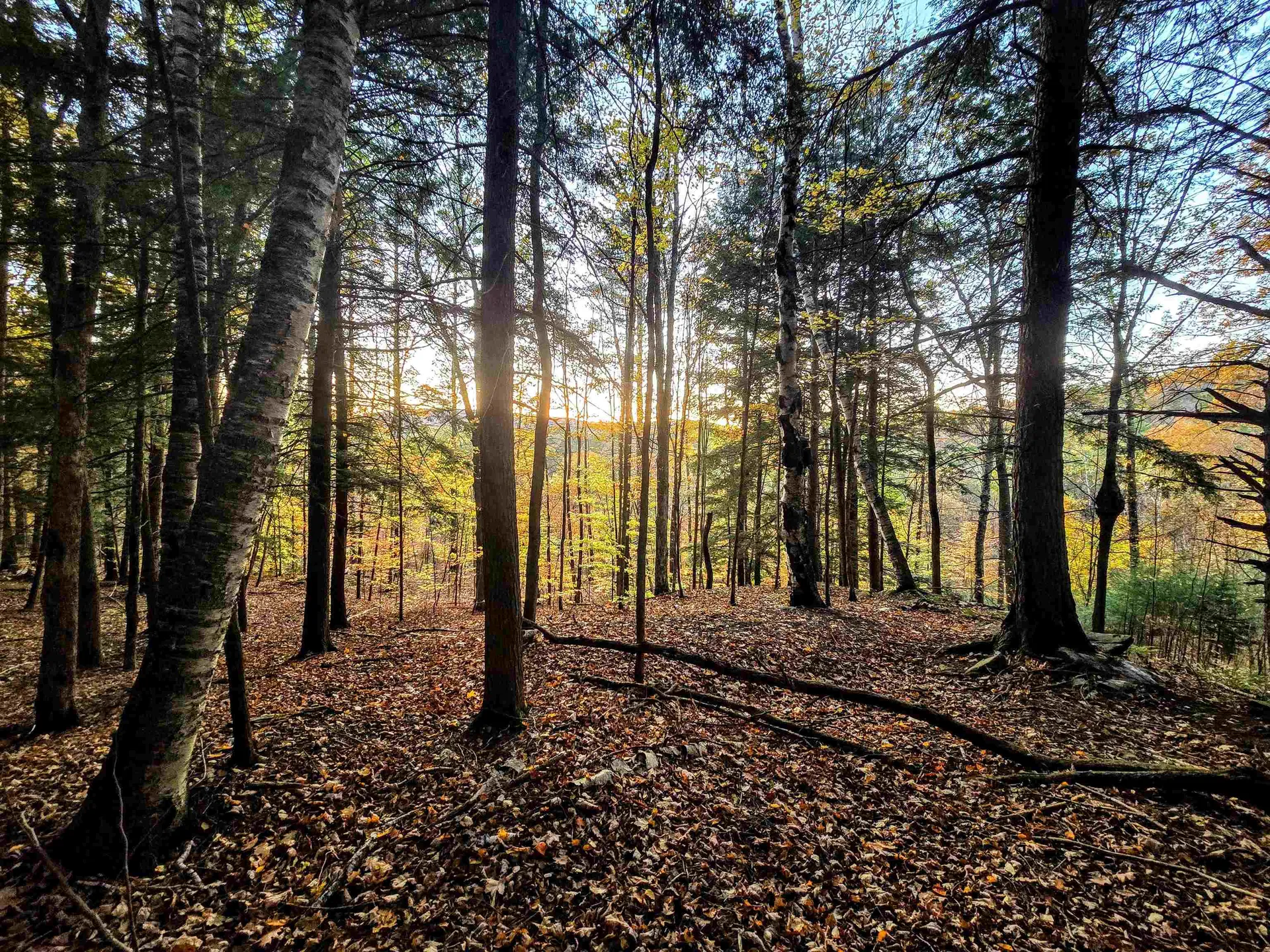 0 Baker Turn Hartford VT 05059