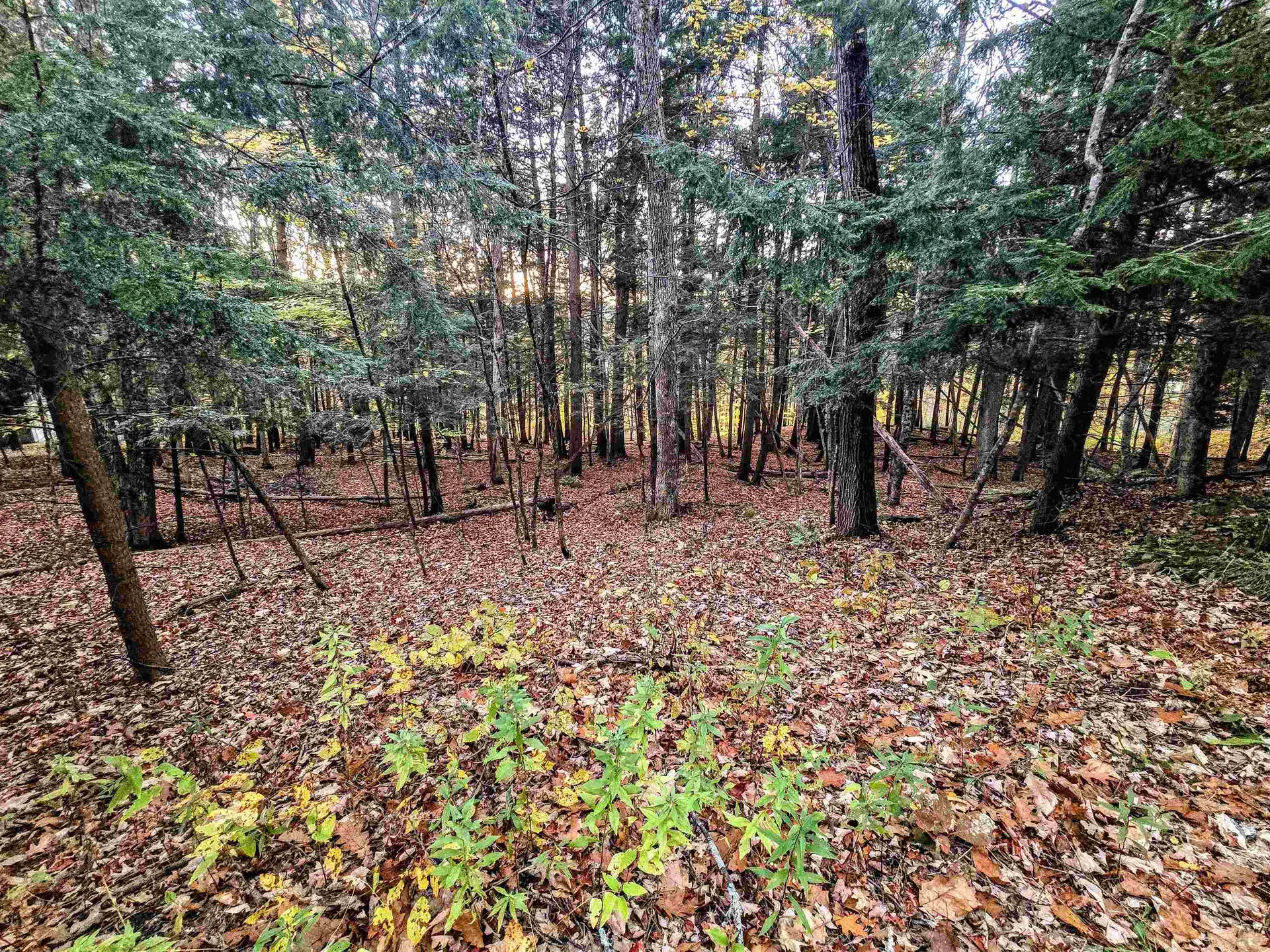 0 Baker Turn Hartford VT 05059