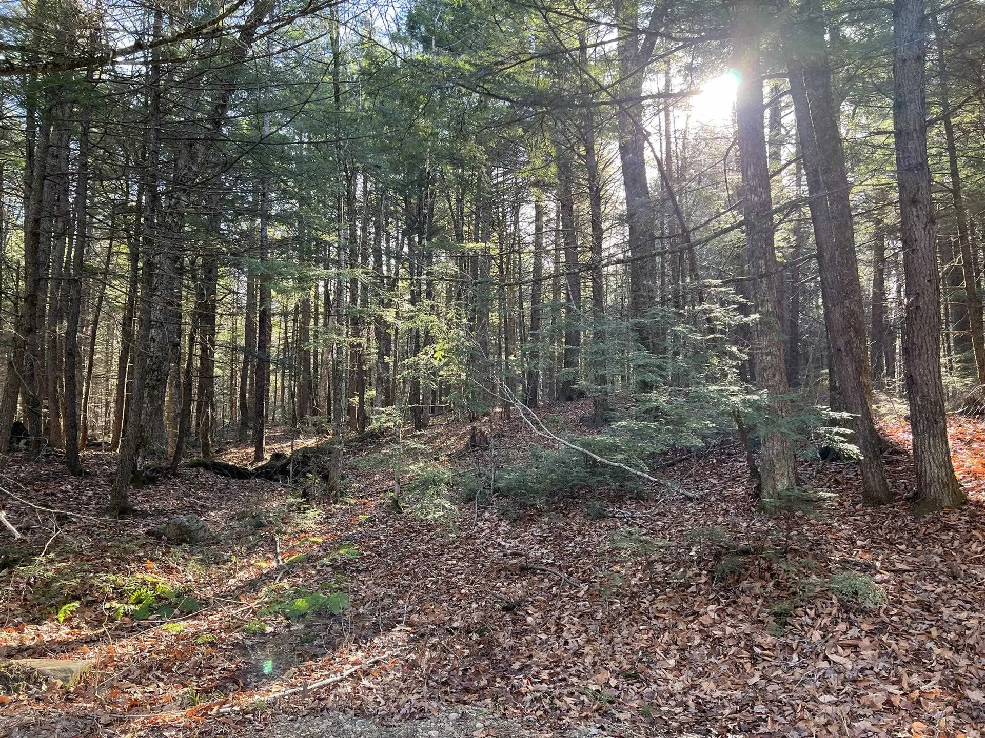 Lot 7 Hermit Woods Road Sanbornton NH 03269