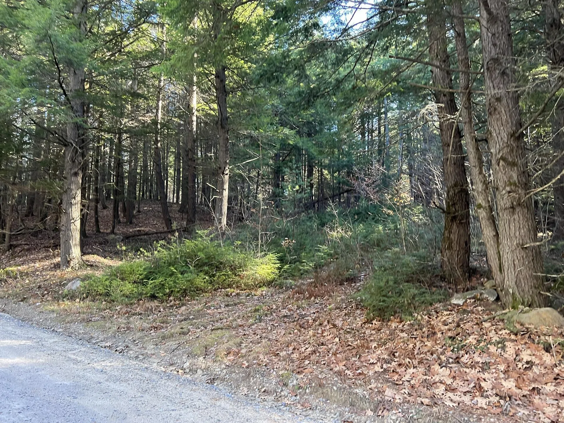 Lot 7 Hermit Woods Road Sanbornton NH 03269