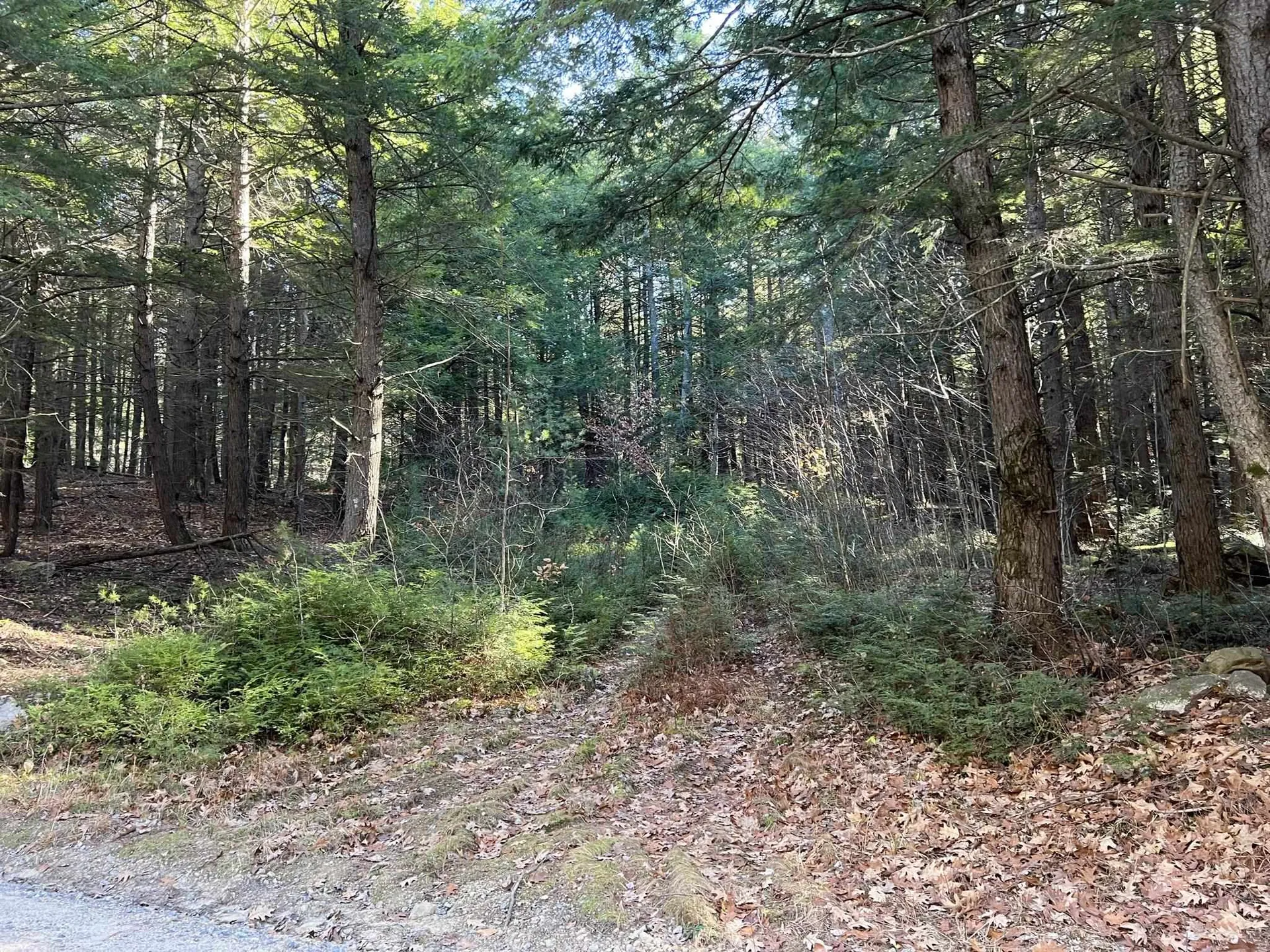 Lot 7 Hermit Woods Road Sanbornton NH 03269