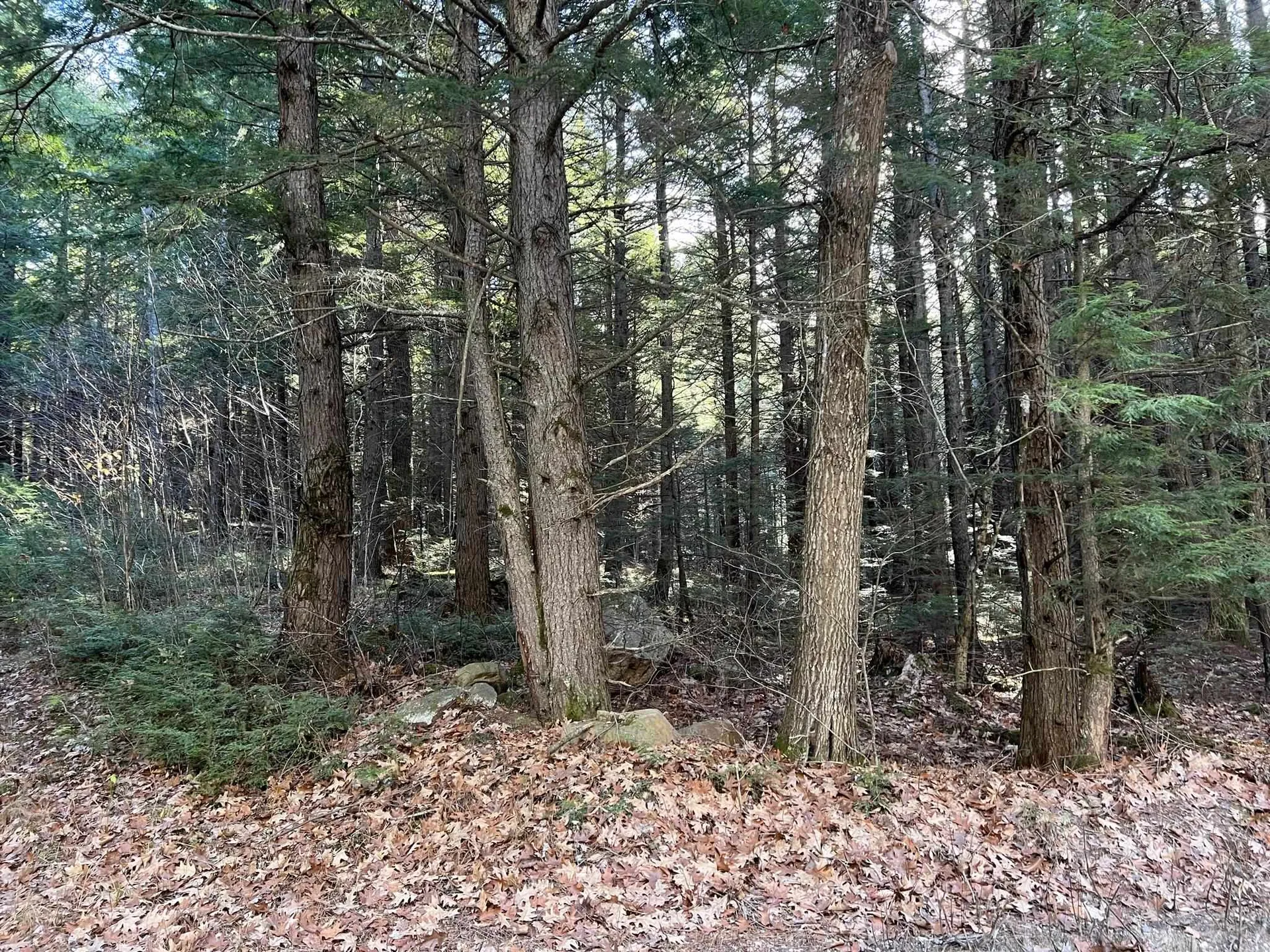 Lot 7 Hermit Woods Road Sanbornton NH 03269