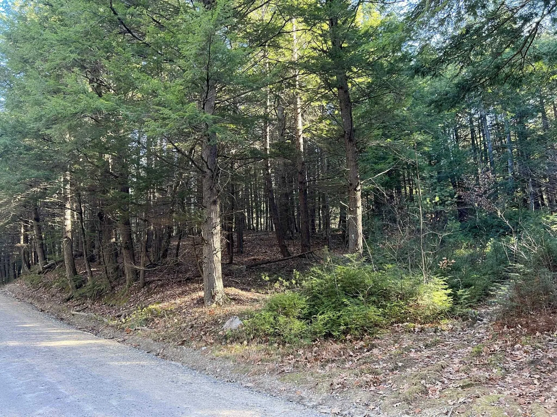 Lot 7 Hermit Woods Road Sanbornton NH 03269