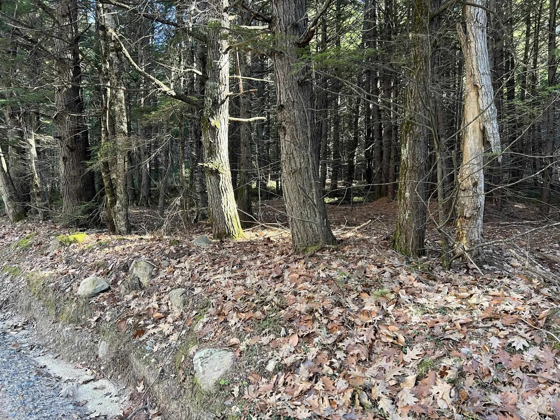 Lot 7 Hermit Woods Road Sanbornton NH 03269