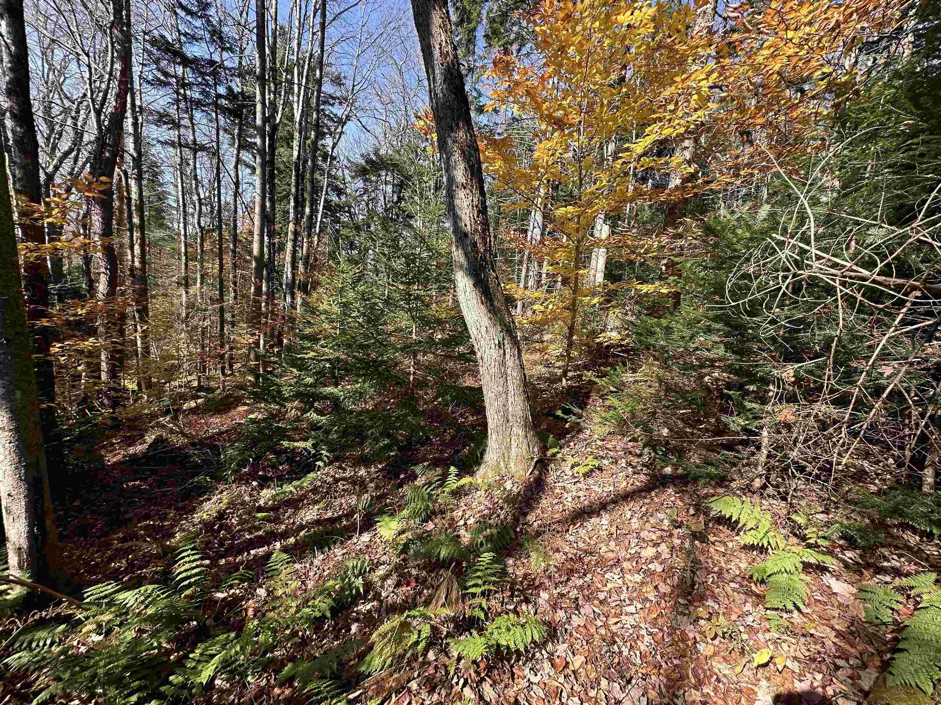 00 Lawrence Davis Drive Wilmington VT 05356