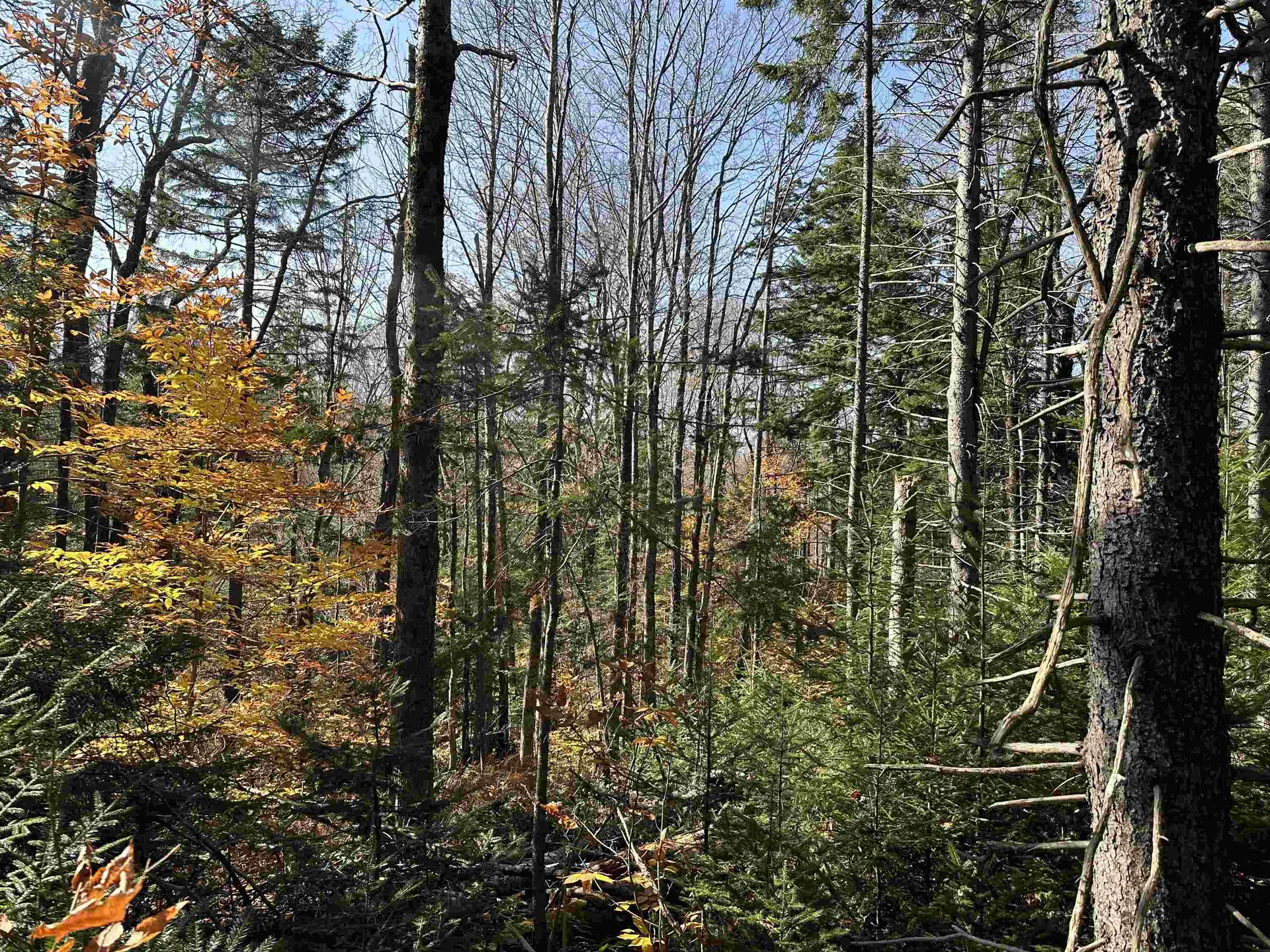 00 Lawrence Davis Drive Wilmington VT 05356