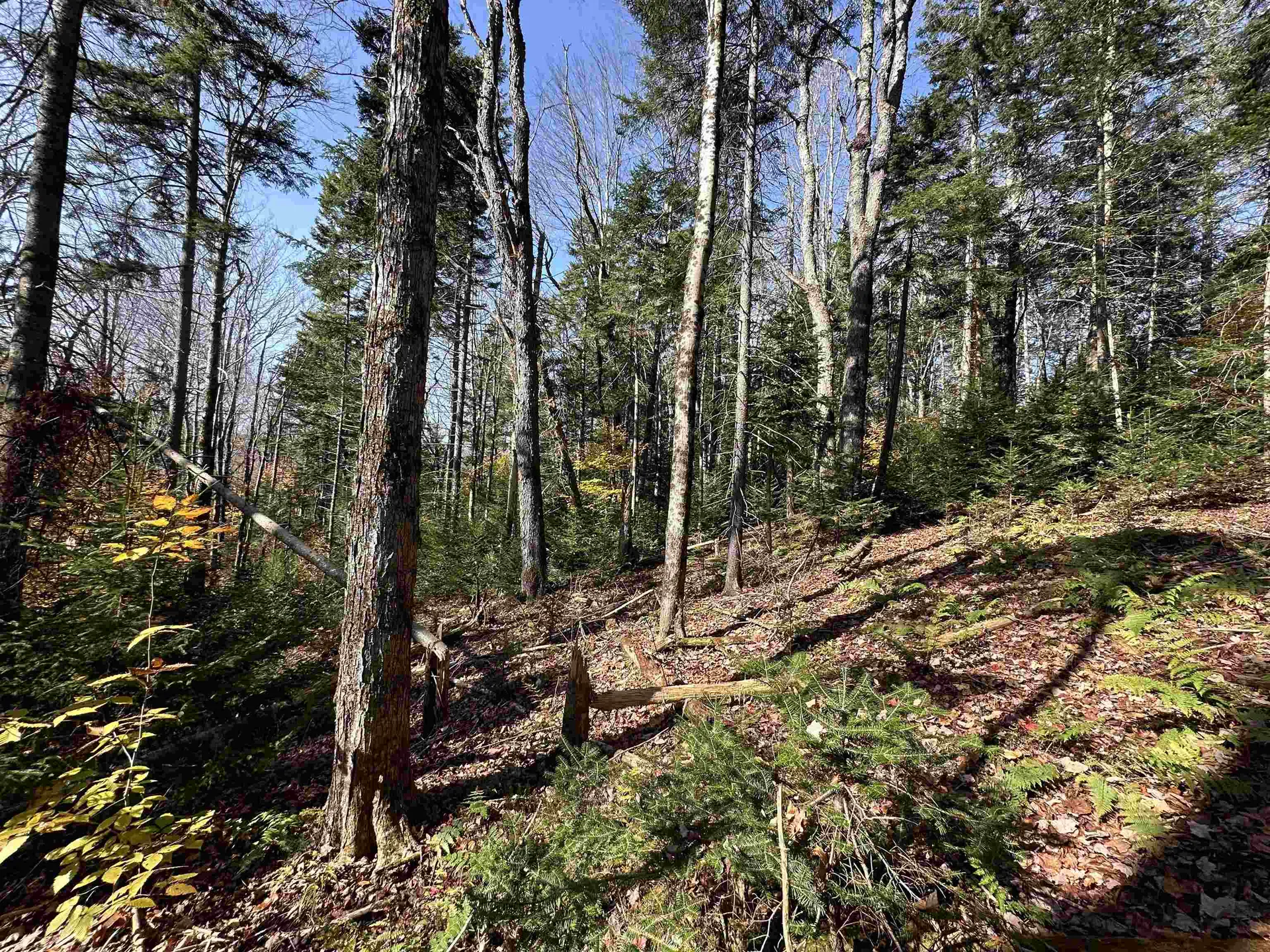 00 Lawrence Davis Drive Wilmington VT 05356