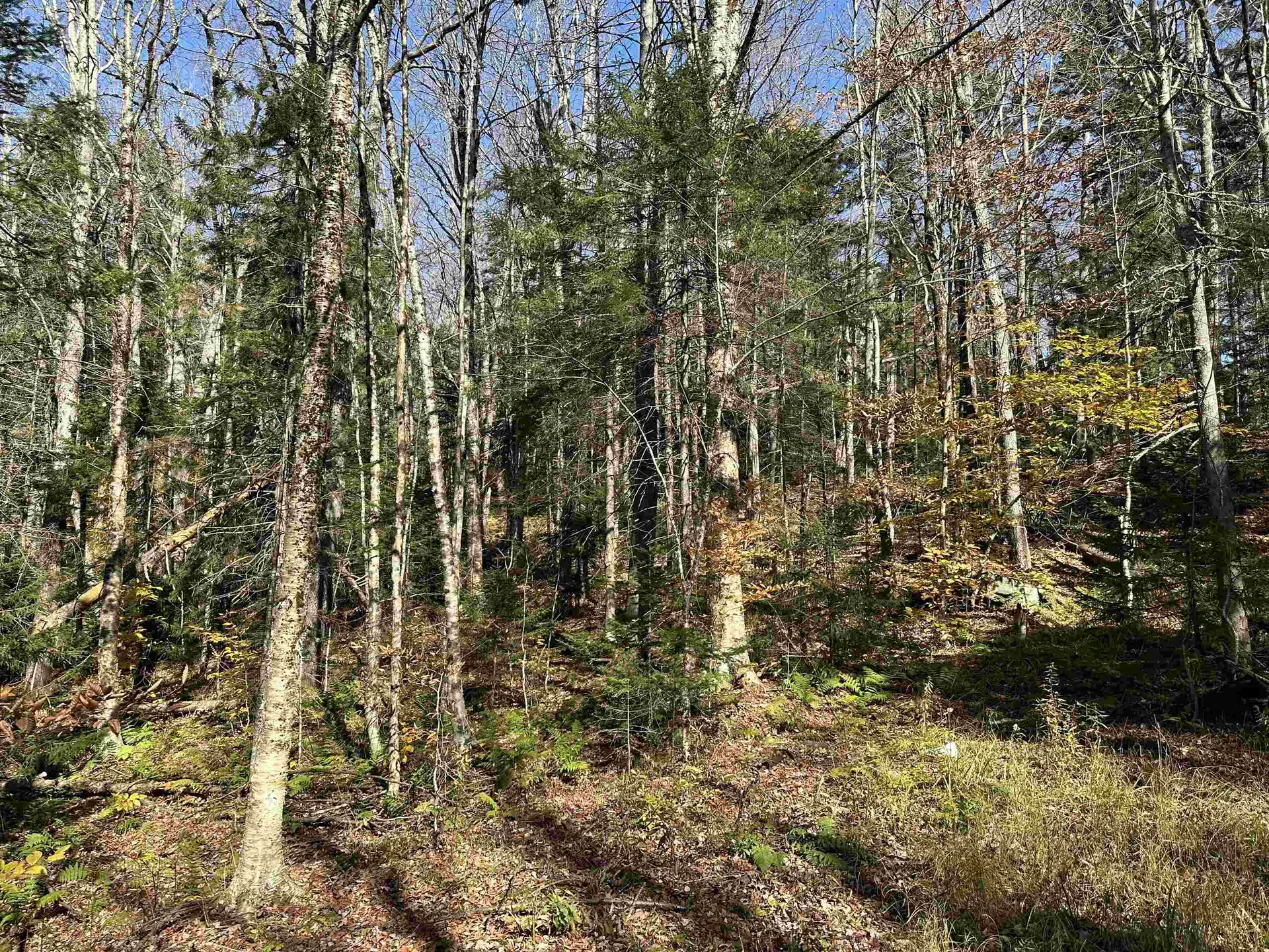 00 Lawrence Davis Drive Wilmington VT 05356