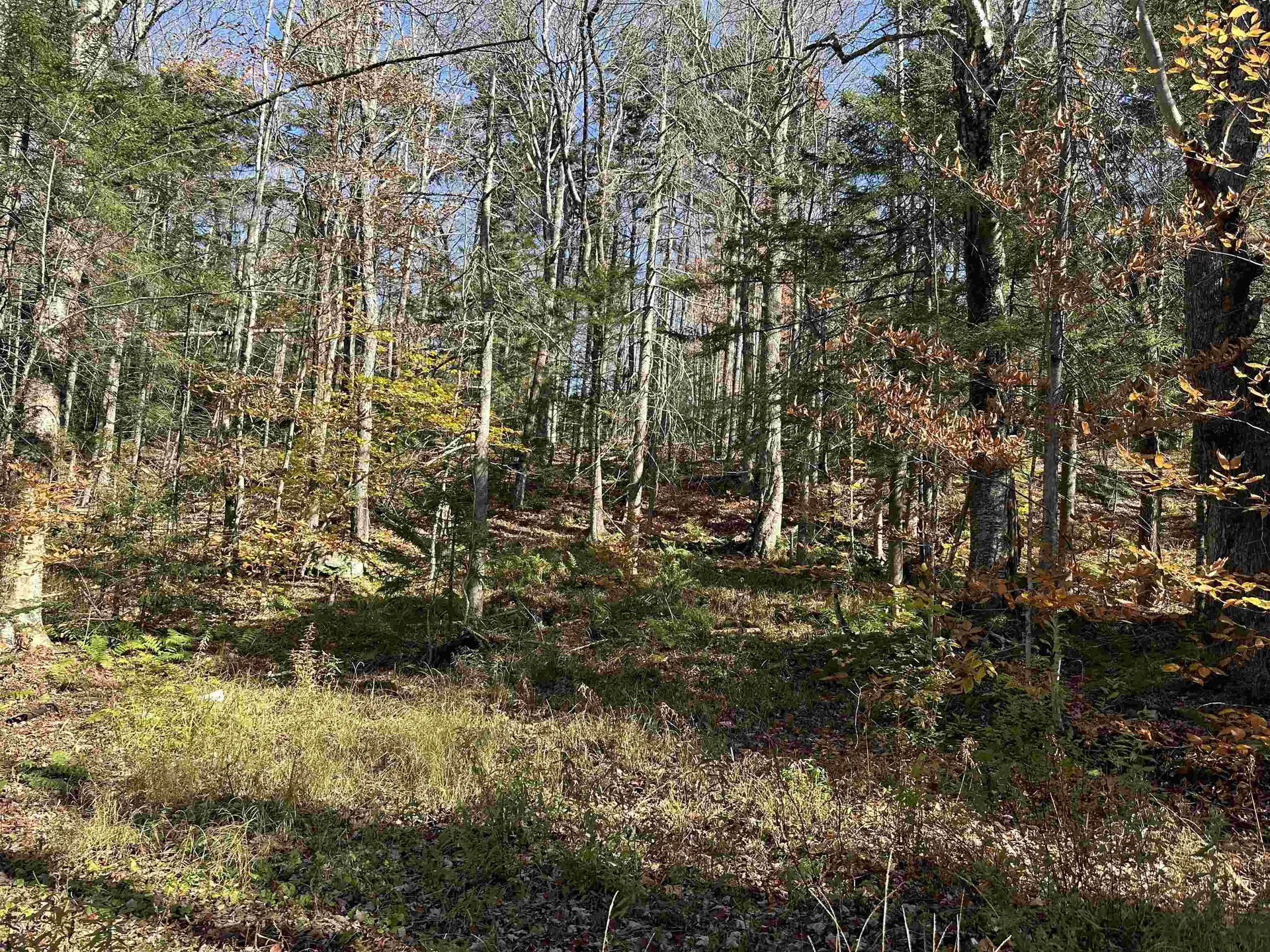 00 Lawrence Davis Drive Wilmington VT 05356