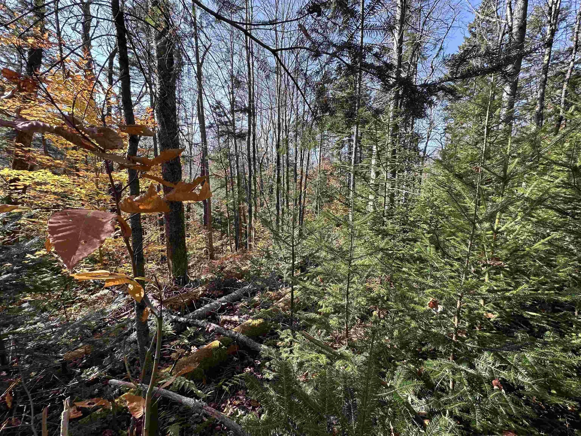 00 Lawrence Davis Drive Wilmington VT 05356