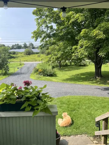 2574 Us Route 2 East Montpelier VT 05461