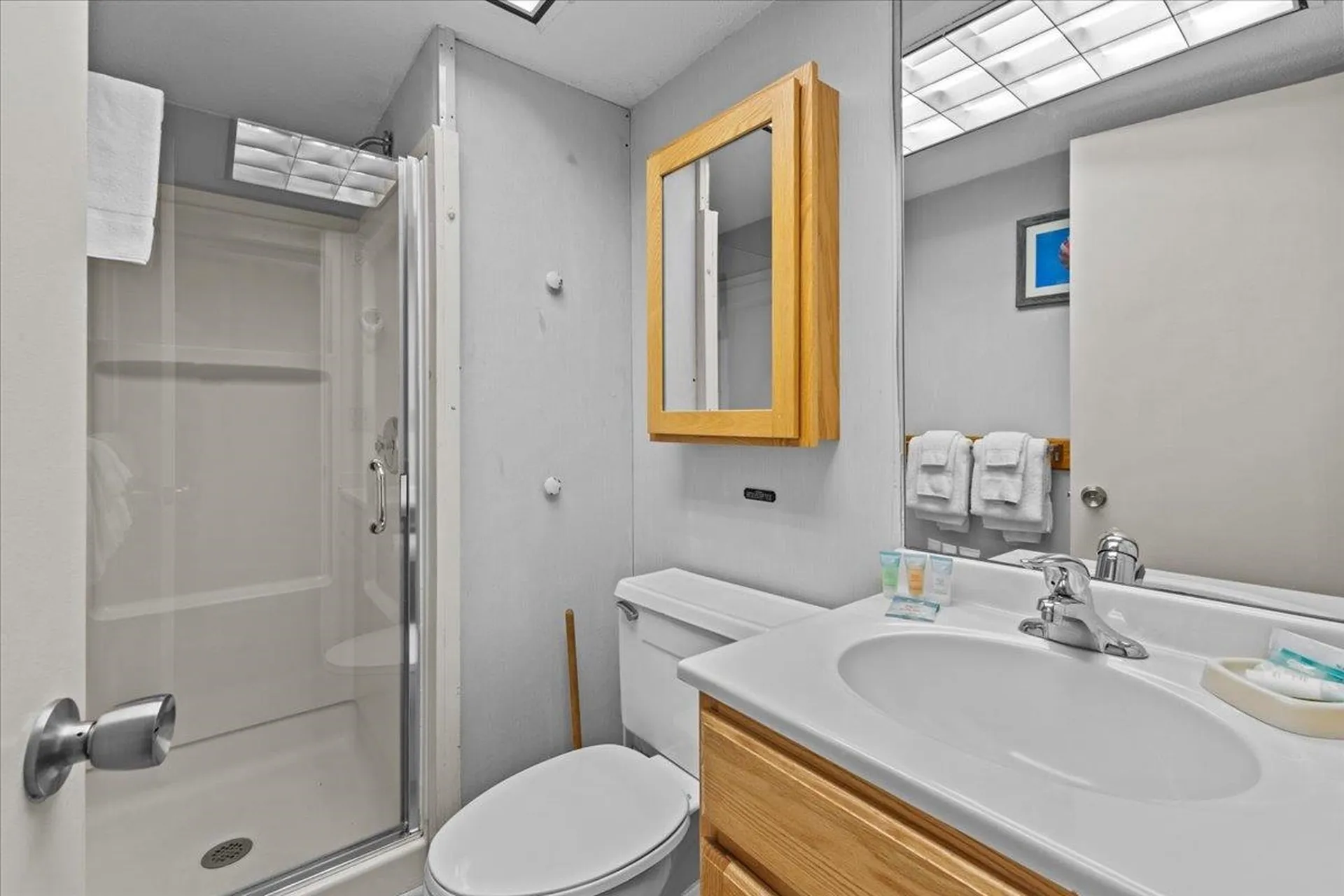 189 Mountainside Drive Stowe VT 05672