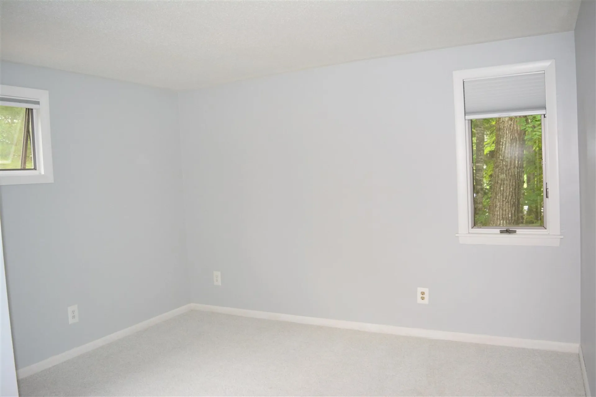 839 Cove Drive Grantham NH 03753