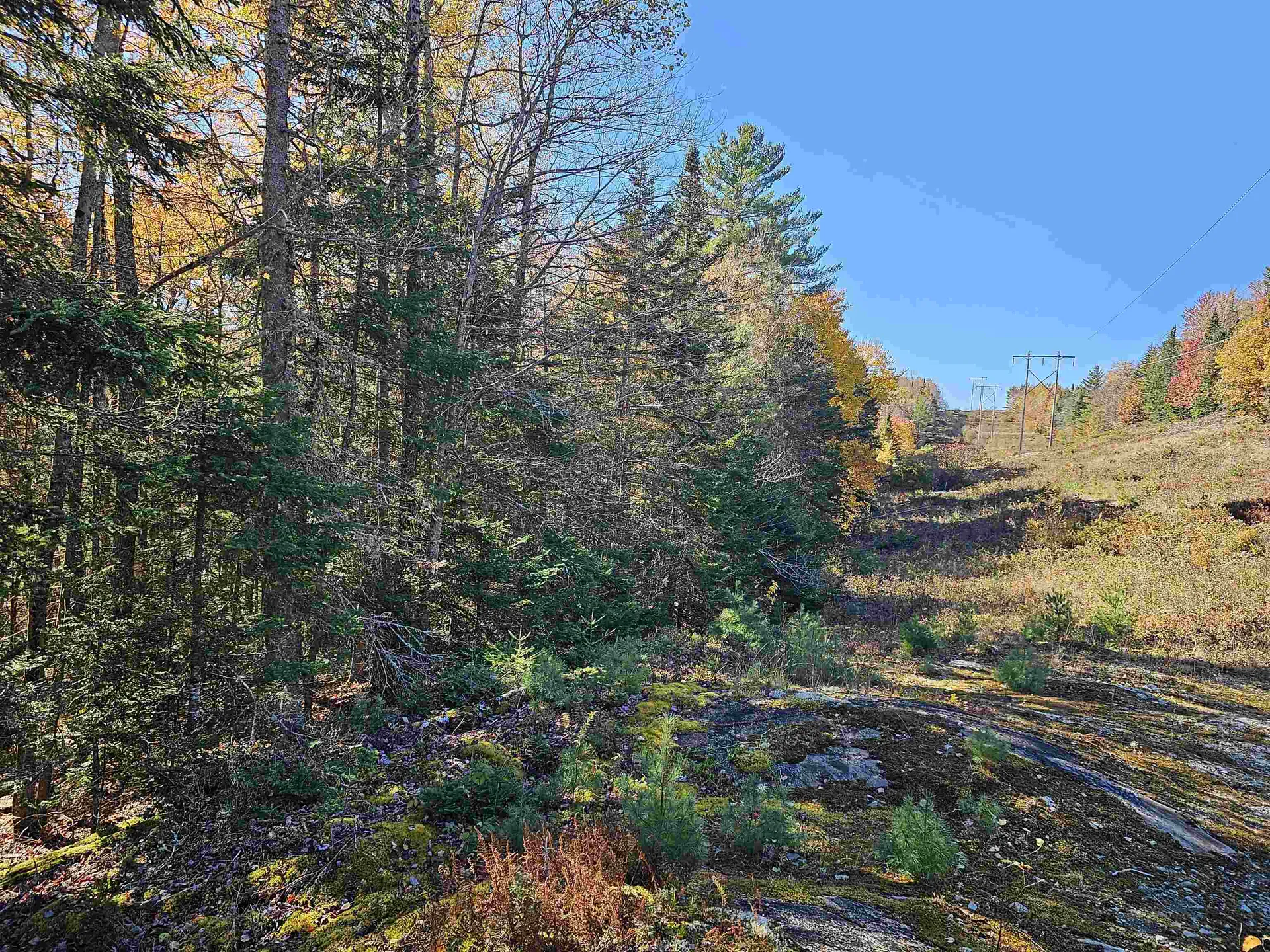 00 Hurlbut Hill Lane Waterford VT 05819