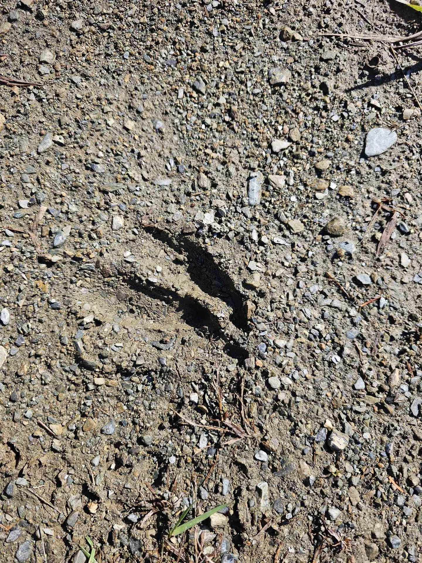 00 Hurlbut Hill Lane Waterford VT 05819