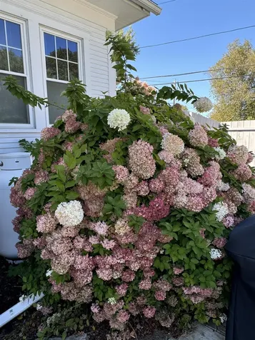 70 Litchfield Avenue Rutland City VT 05701