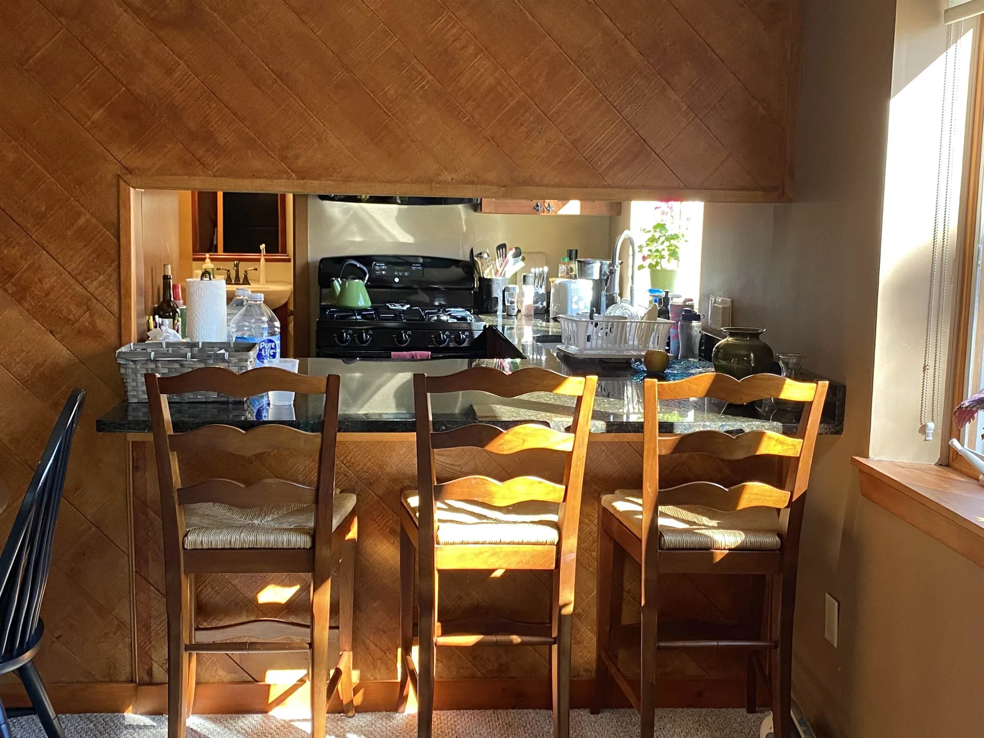 11 Snowtree Lane Dover VT 05356