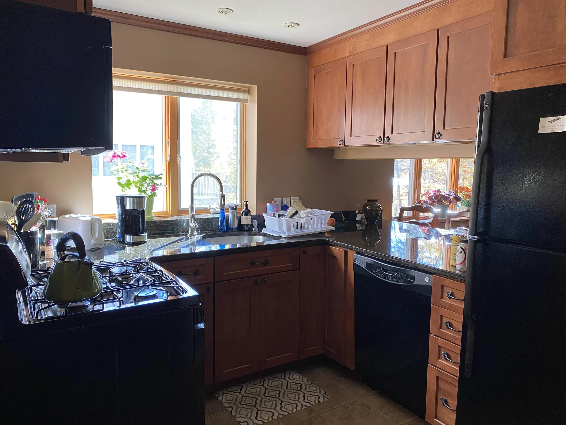 11 Snowtree Lane Dover VT 05356