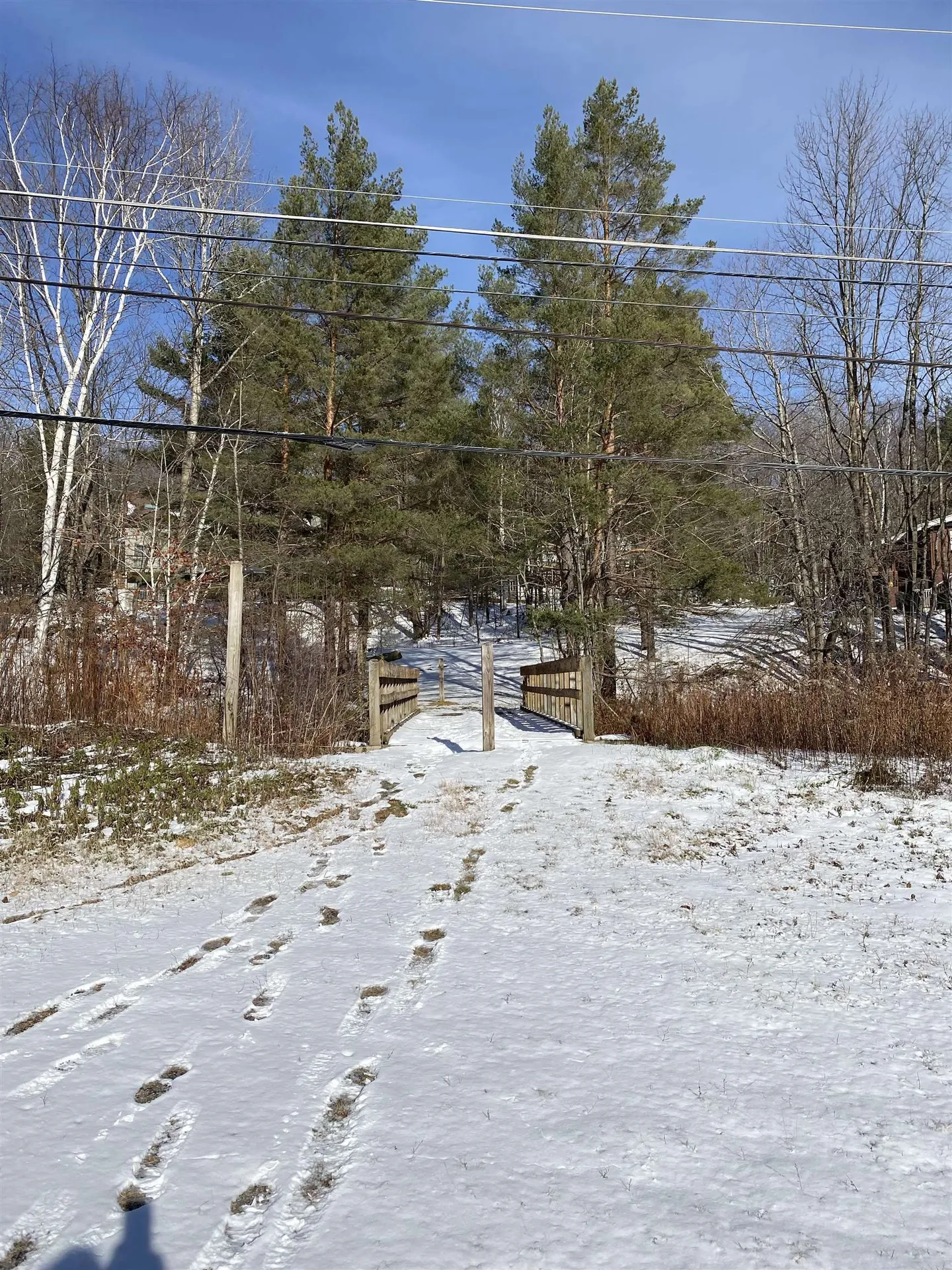 11 Snowtree Lane Dover VT 05356