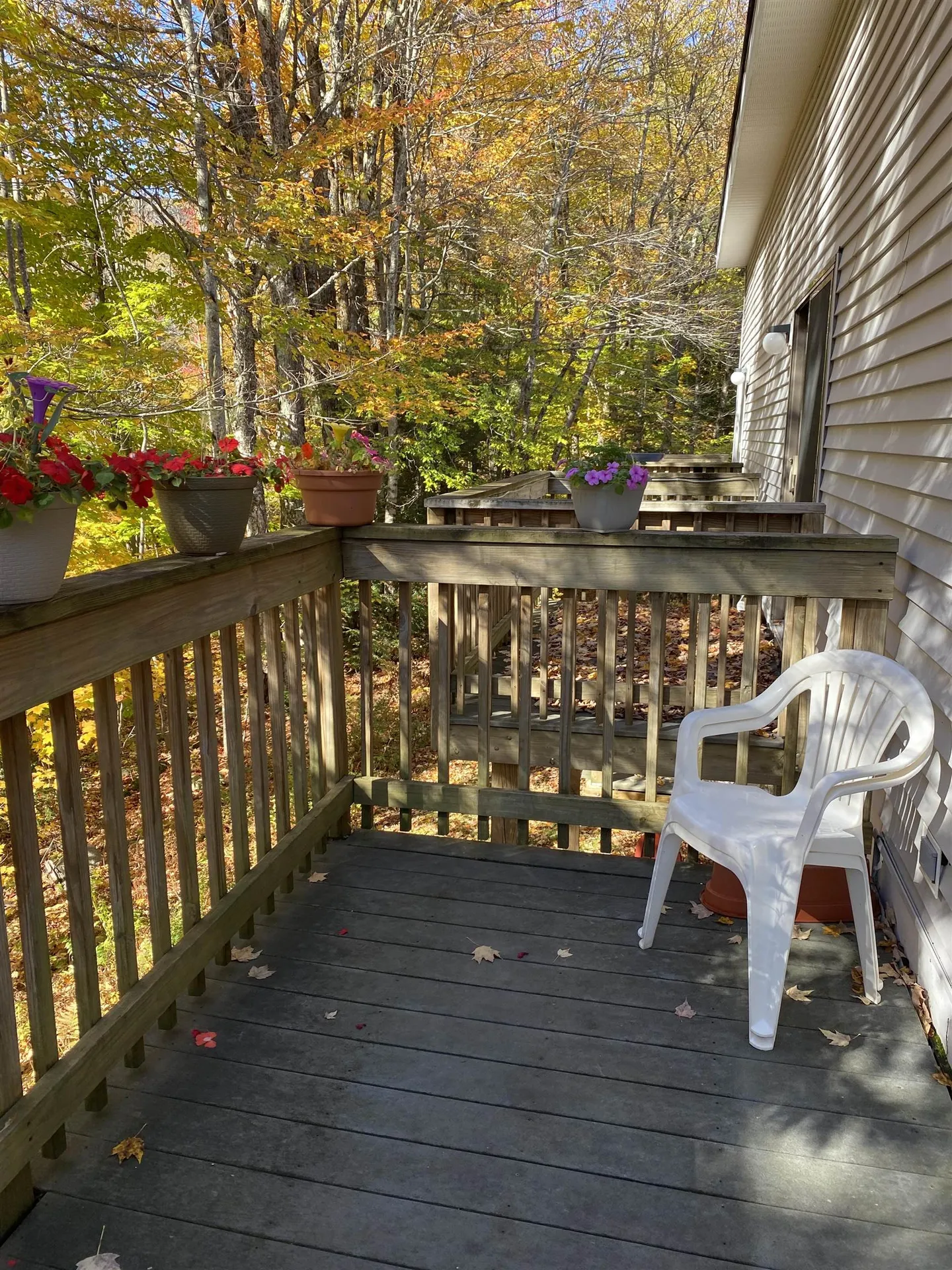 11 Snowtree Lane Dover VT 05356