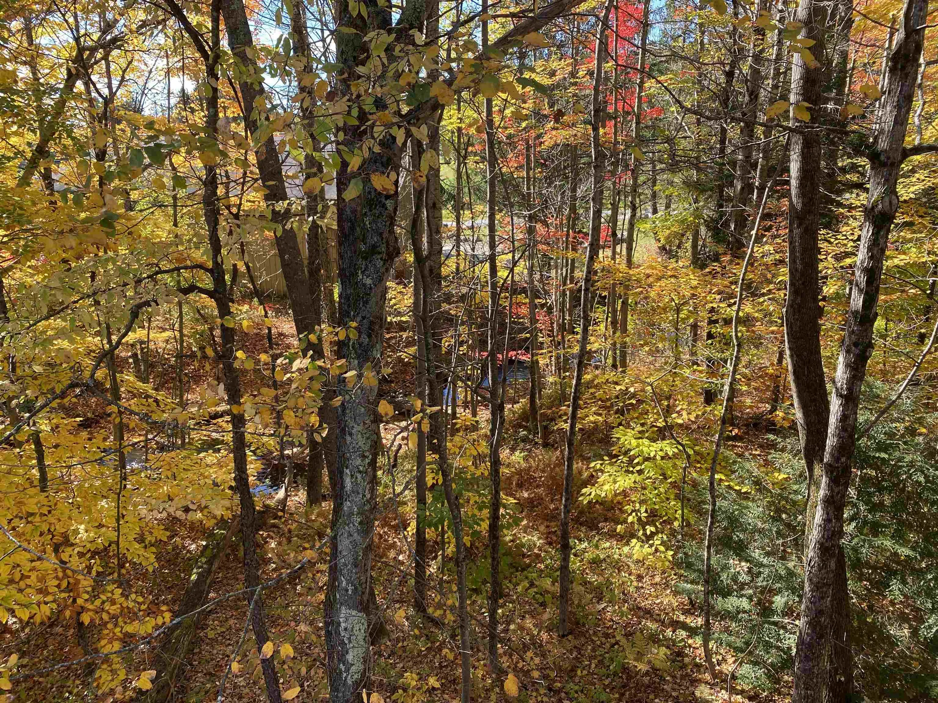 11 Snowtree Lane Dover VT 05356