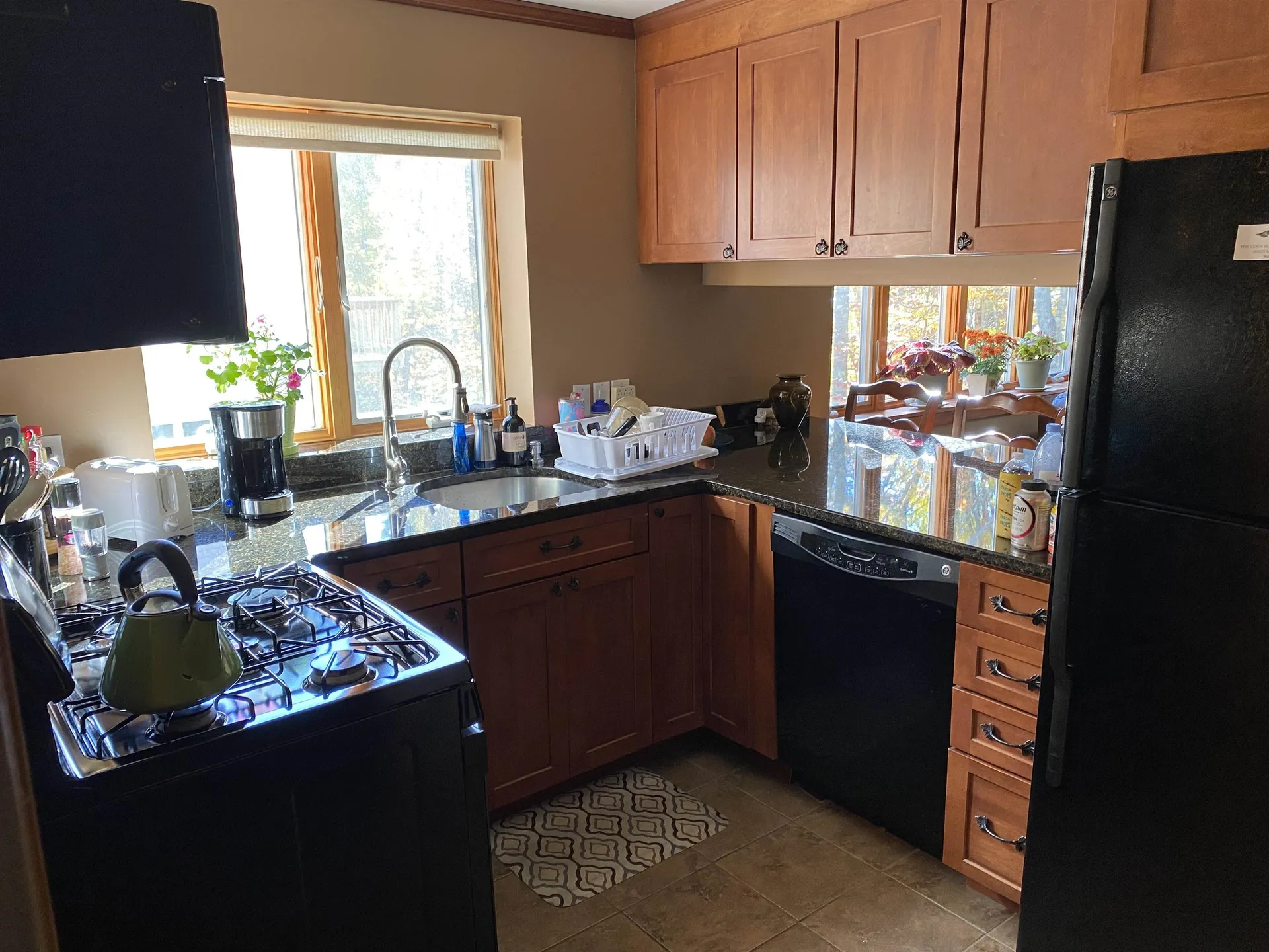 11 Snowtree Lane Dover VT 05356