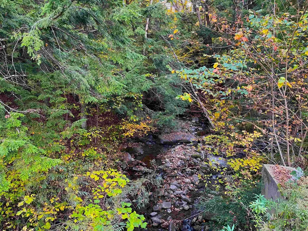 10 & 26 Chester Drive Tunbridge VT 05077