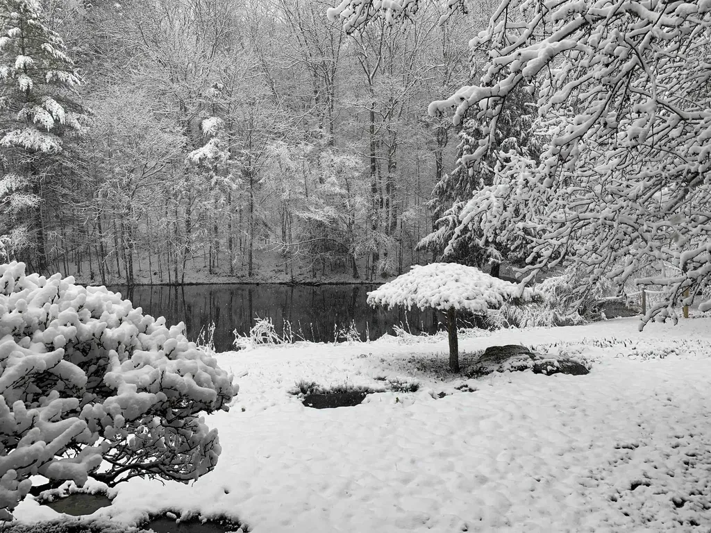 10 & 26 Chester Drive Tunbridge VT 05077