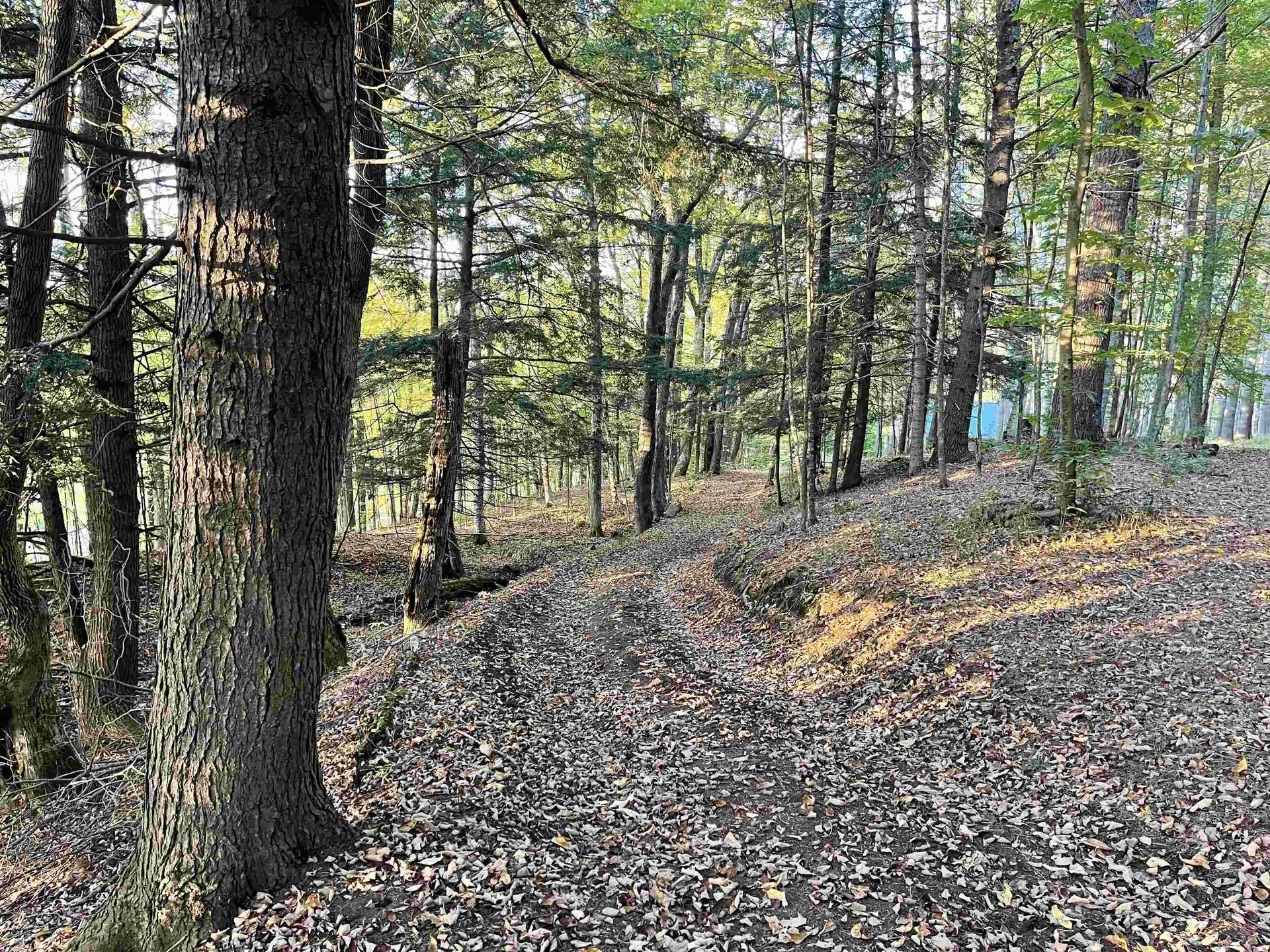 10 & 26 Chester Drive Tunbridge VT 05077