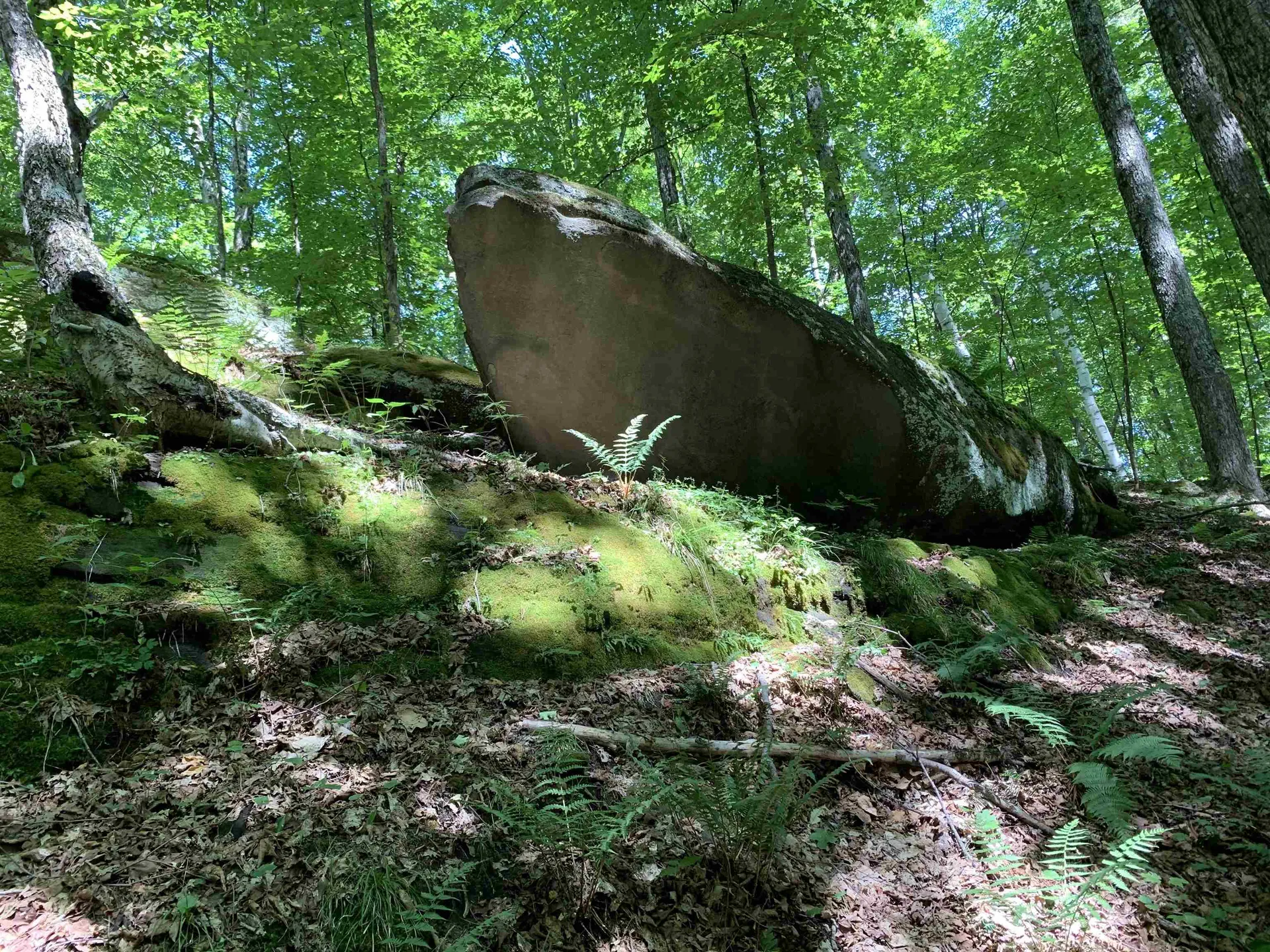 10 & 26 Chester Drive Tunbridge VT 05077