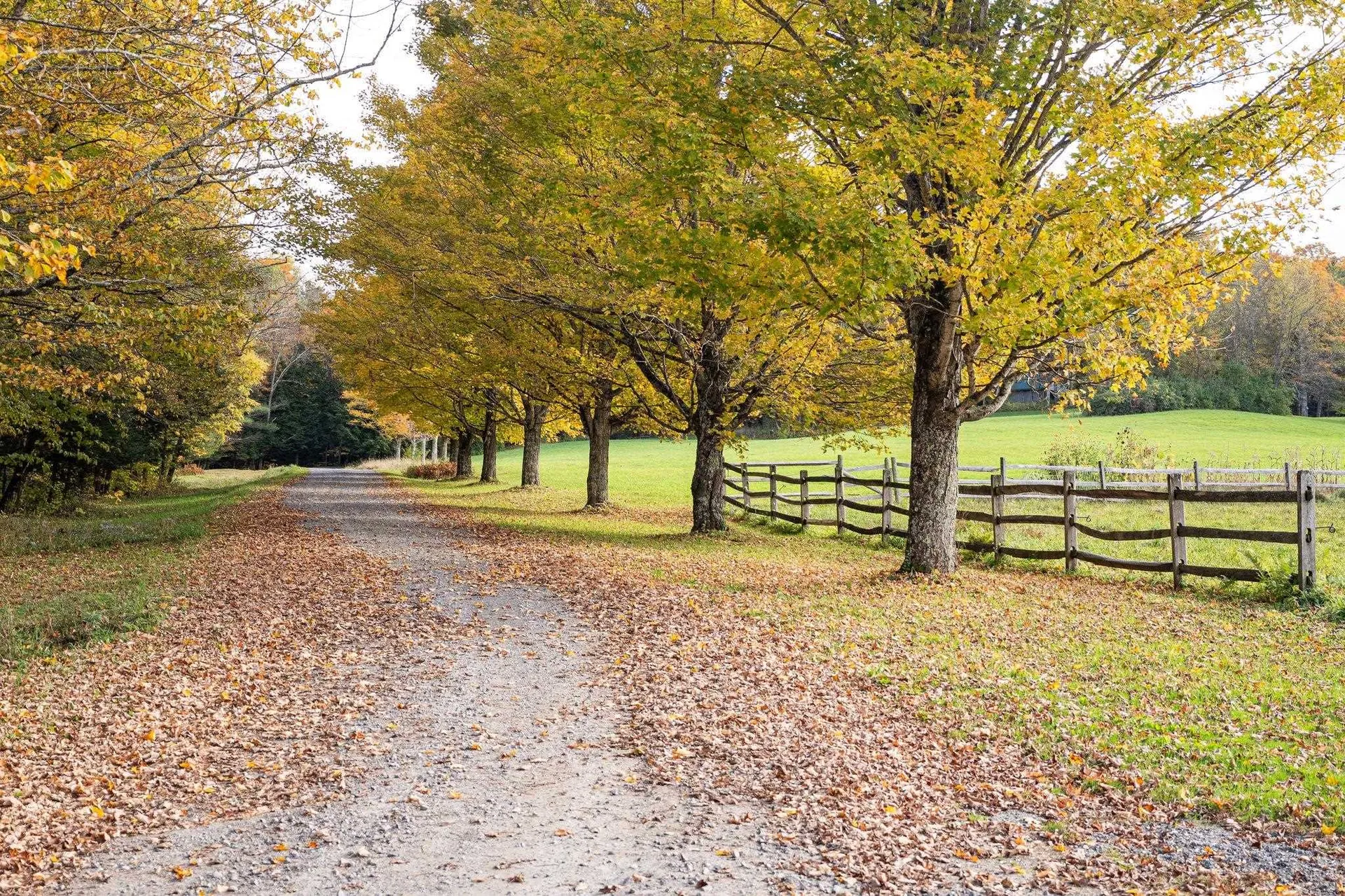 10 & 26 Chester Drive Tunbridge VT 05077