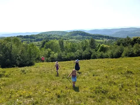 10 & 26 Chester Drive Tunbridge VT 05077