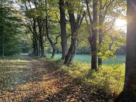 10 & 26 Chester Drive Tunbridge VT 05077