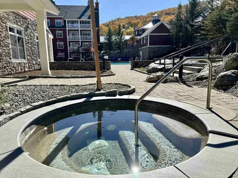 102 Forest 134/iv Drive Warren VT 05674