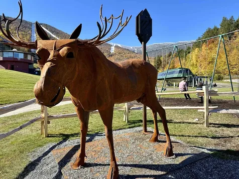 102 Forest 134/iv Drive Warren VT 05674