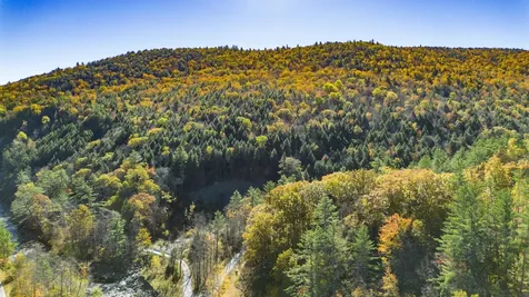 00 Hunter Brook Road Newfane VT 05351