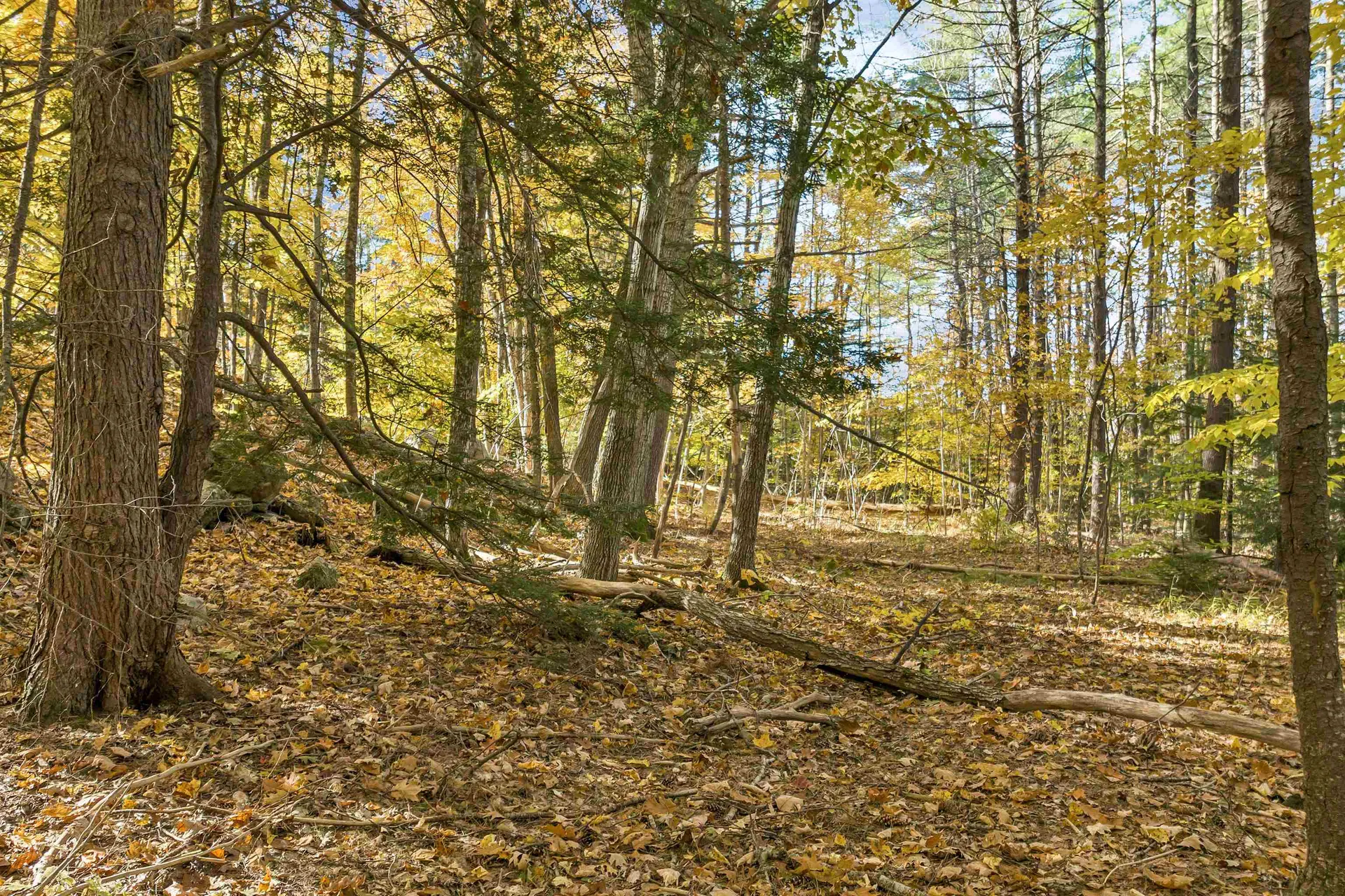 0 Bearcamp Highway Tamworth NH 03883