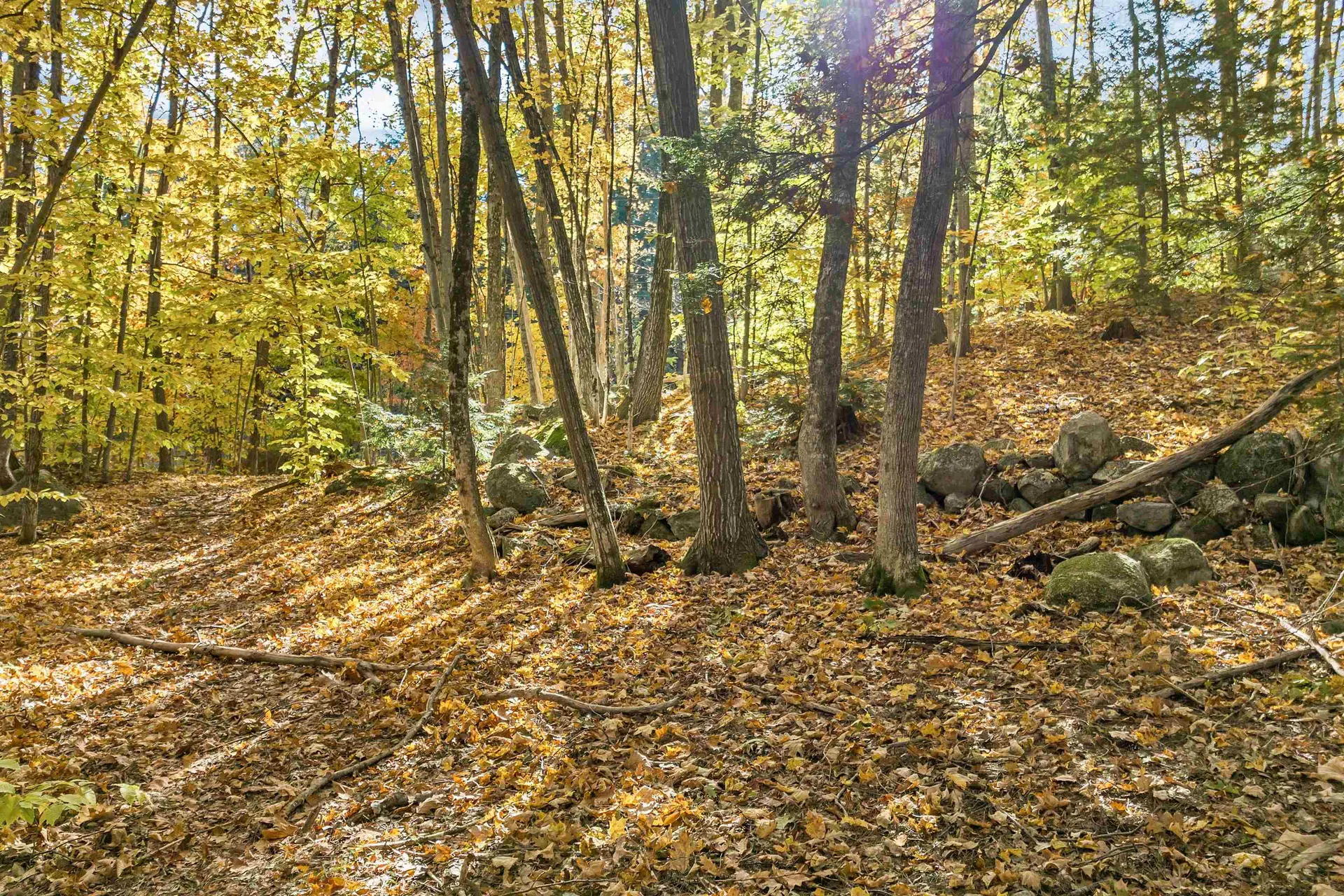 0 Bearcamp Highway Tamworth NH 03883