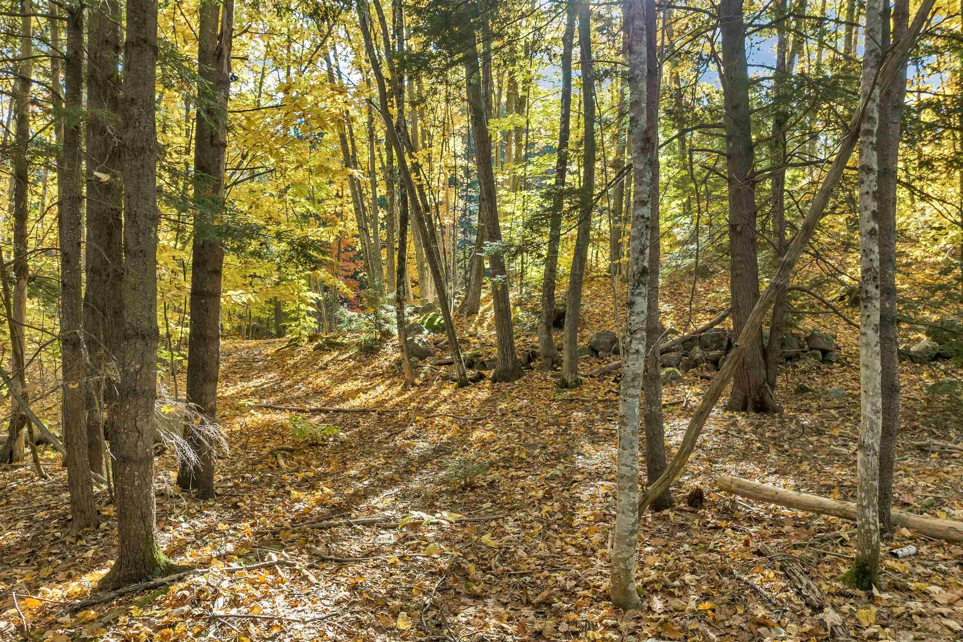 0 Bearcamp Highway Tamworth NH 03883