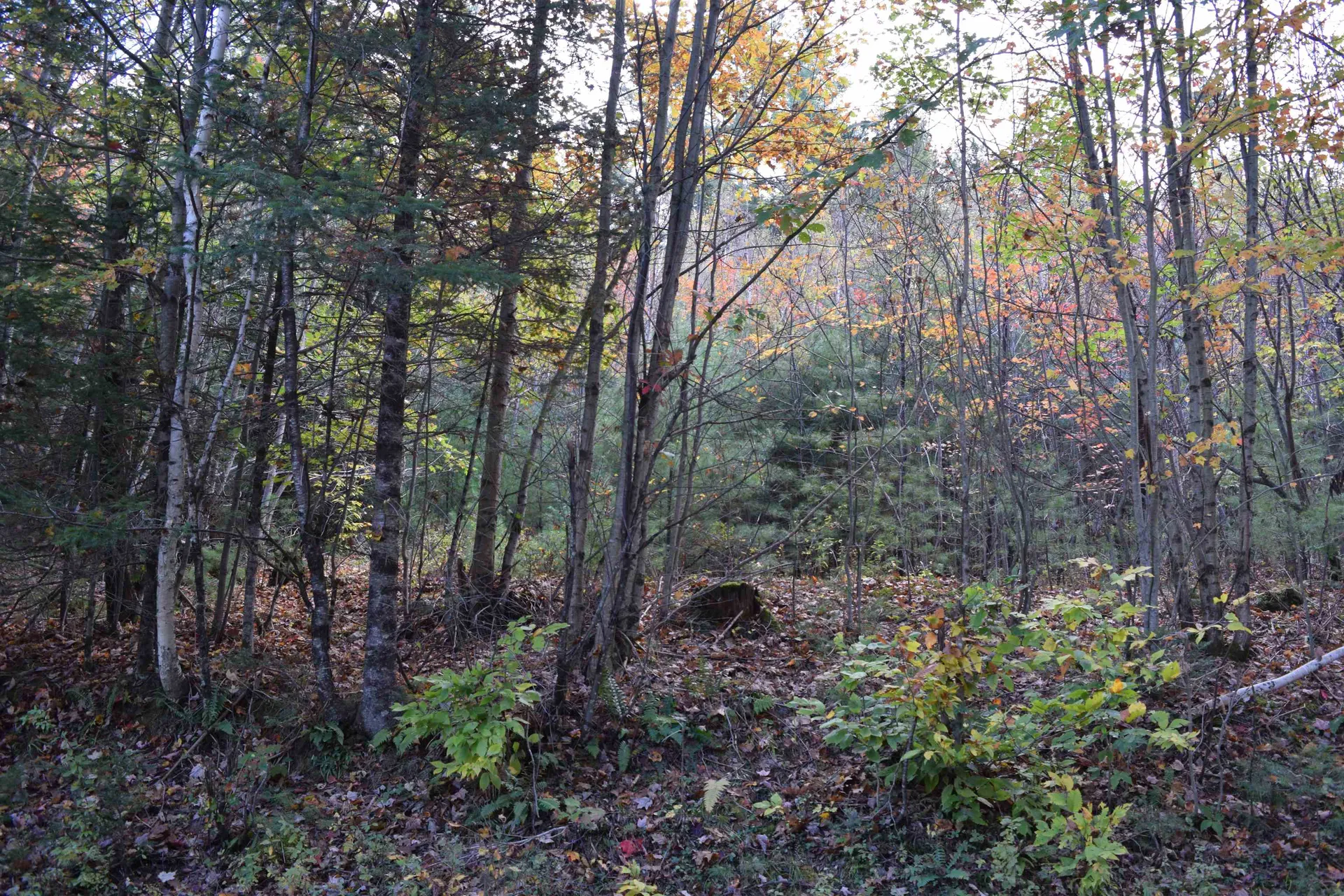 Lot 257 Swiftwater Circle Haverhill NH 03765