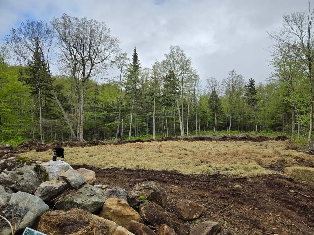 270 Bergabhang Drive Readsboro VT 05350