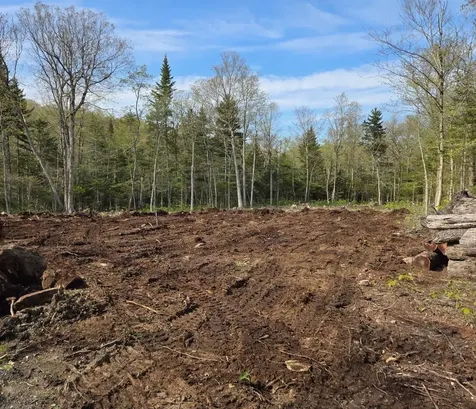 270 Bergabhang Drive Readsboro VT 05350