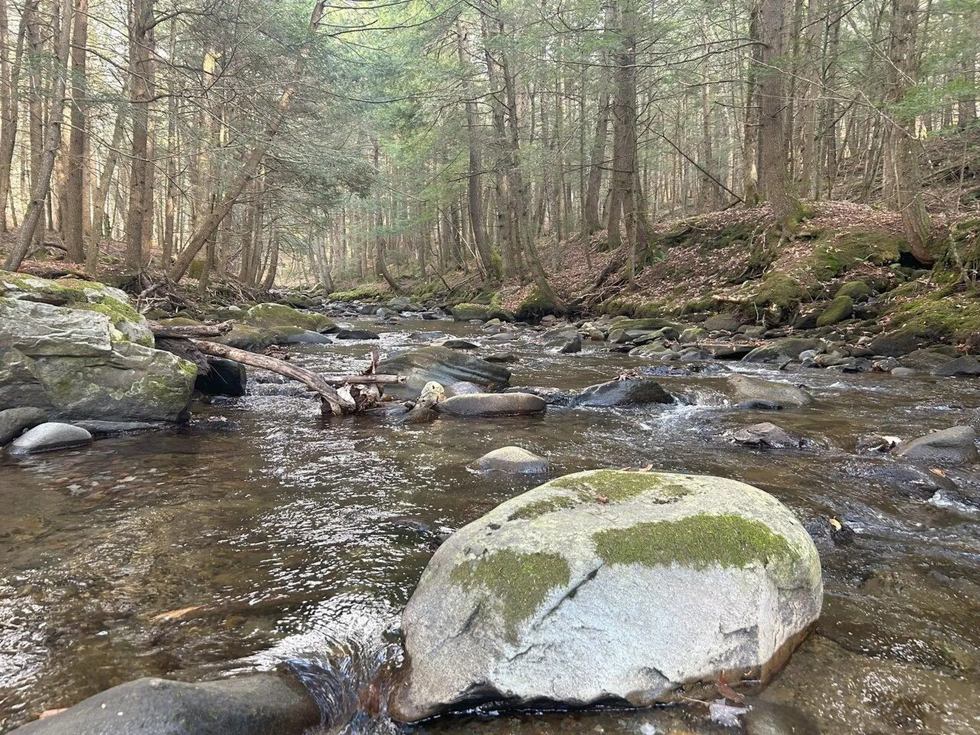 1174 Vt Route 17 Starksboro VT 05443