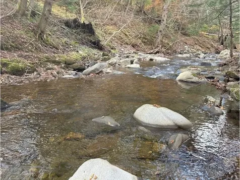 1174 Vt Route 17 Starksboro VT 05443