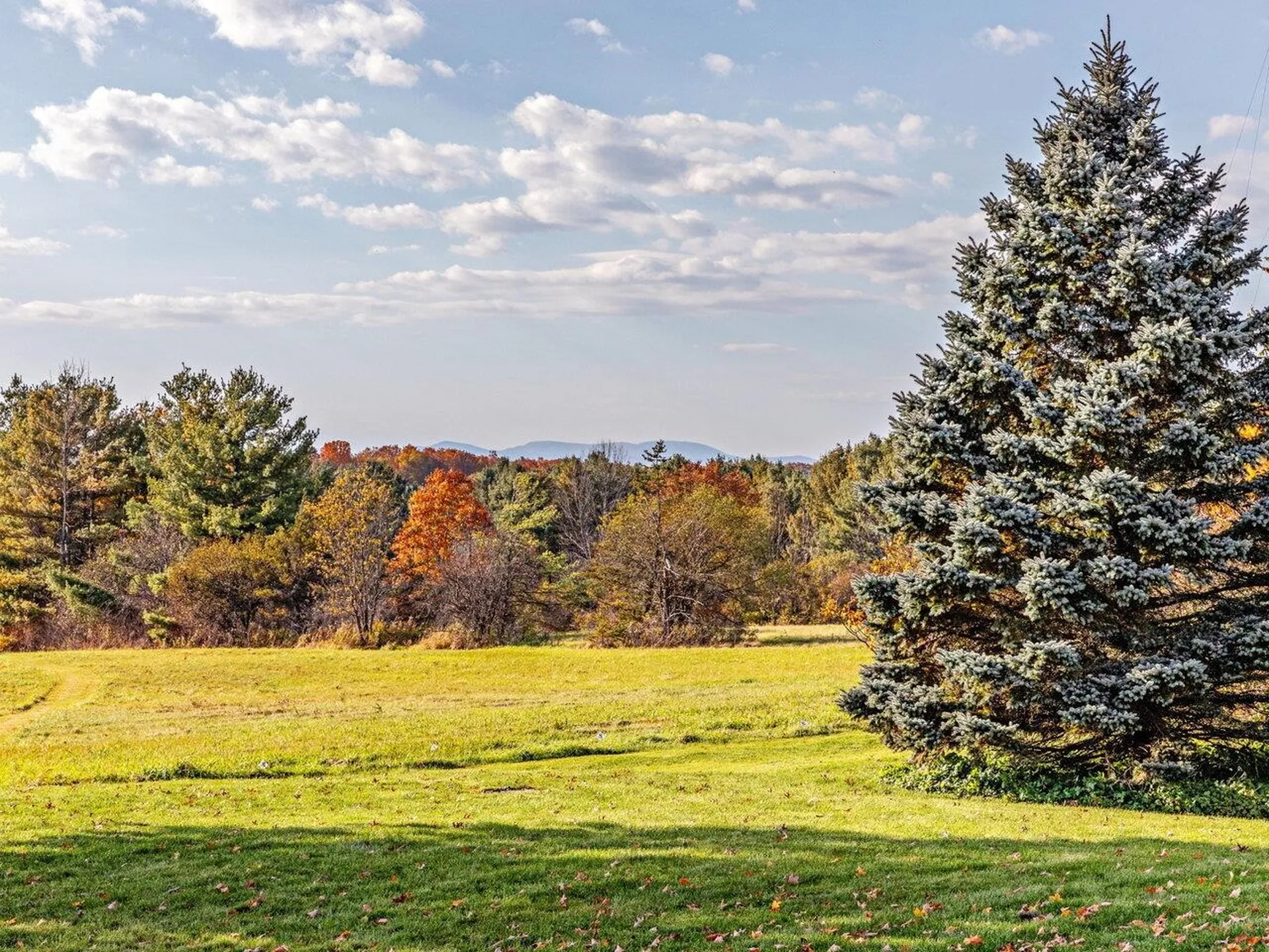 1102 Dorset Street Charlotte VT 05445