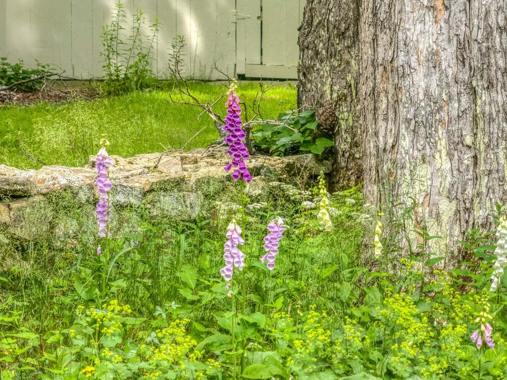 115 Town Line Road Francestown NH 03043